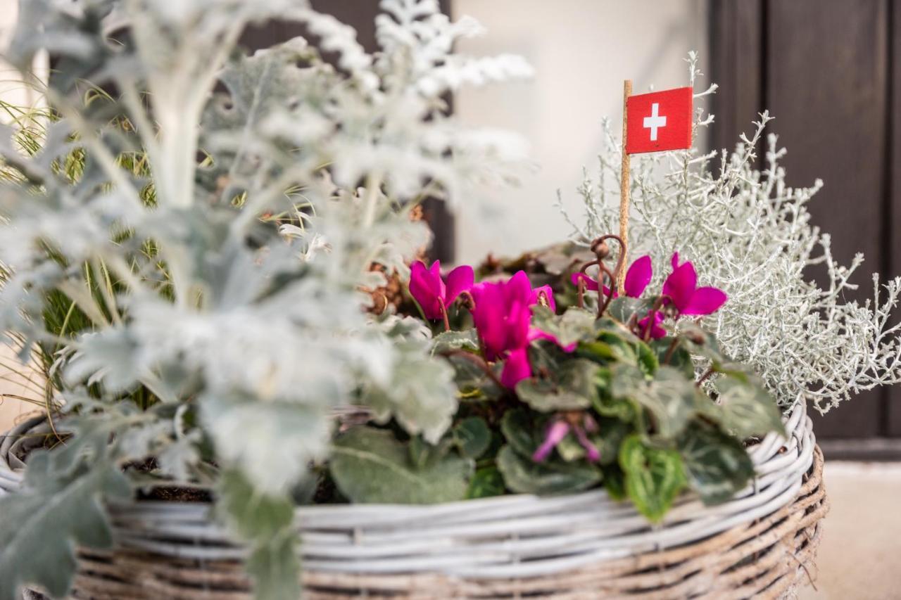 Mybednbreakfast In Bottmingen Bed & Breakfast Exterior photo